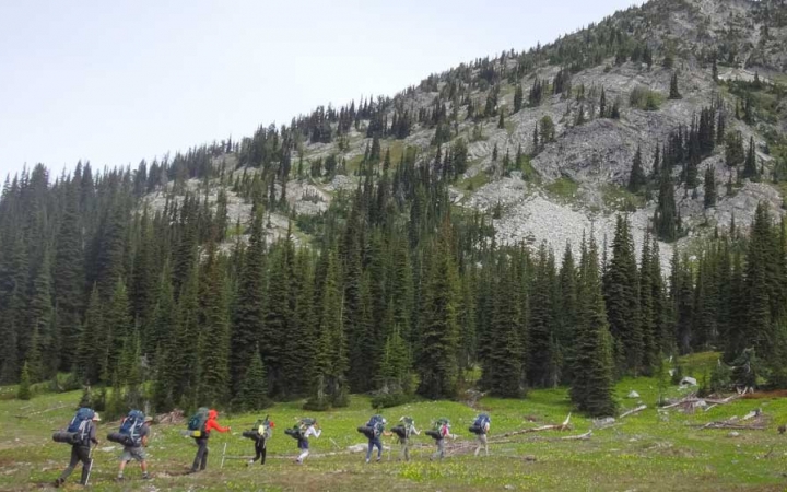 a group of backpackers make their way through a grassy meadow